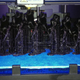 Illustration for article titled AMNH 3D-Printing Camp: Lets Make Some Dinos